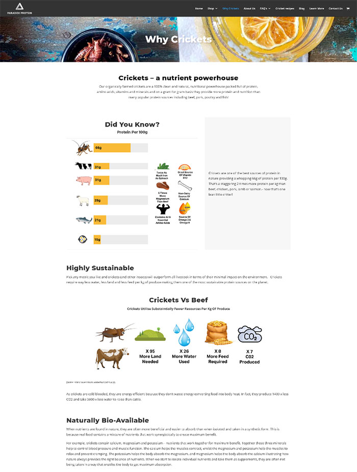 website design shop order woocommerce wordpress