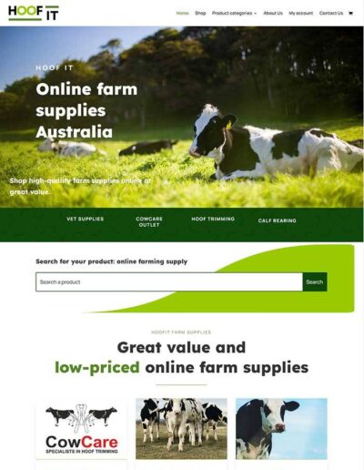 website designer Adelaide