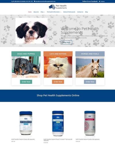 web design Adelaide